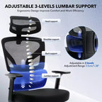 GustoWave Ergonomic Office Chair with Adjustable Lumbar Support, High-Back Mesh Desk Chair, Rolling Swivel Computer Task Chair for Home/Office
