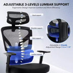 GustoWave Ergonomic Office Chair with Adjustable Lumbar Support, High-Back Mesh Desk Chair, Rolling Swivel Computer Task Chair for Home/Office