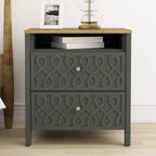 Galano Modern 2-Drawer Nightstands with Open Storage Set of 2 20.9 W  15.7 D  22.7 H