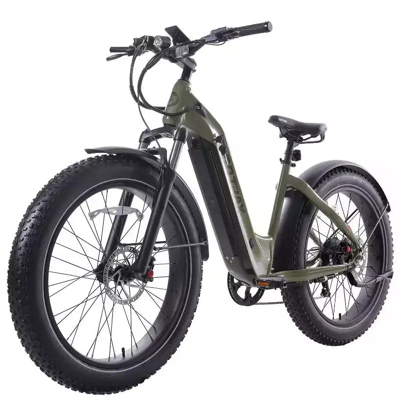 GOTRAX Bici Ibrida Elettrica 26" con Pneumatici Fat, Telaio a Scavalco, per Adulti - Verde