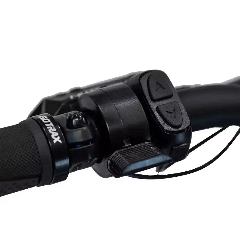 GOTRAX Bici Ibrida Elettrica 26" con Pneumatici Fat, Telaio a Scavalco, per Adulti - Verde