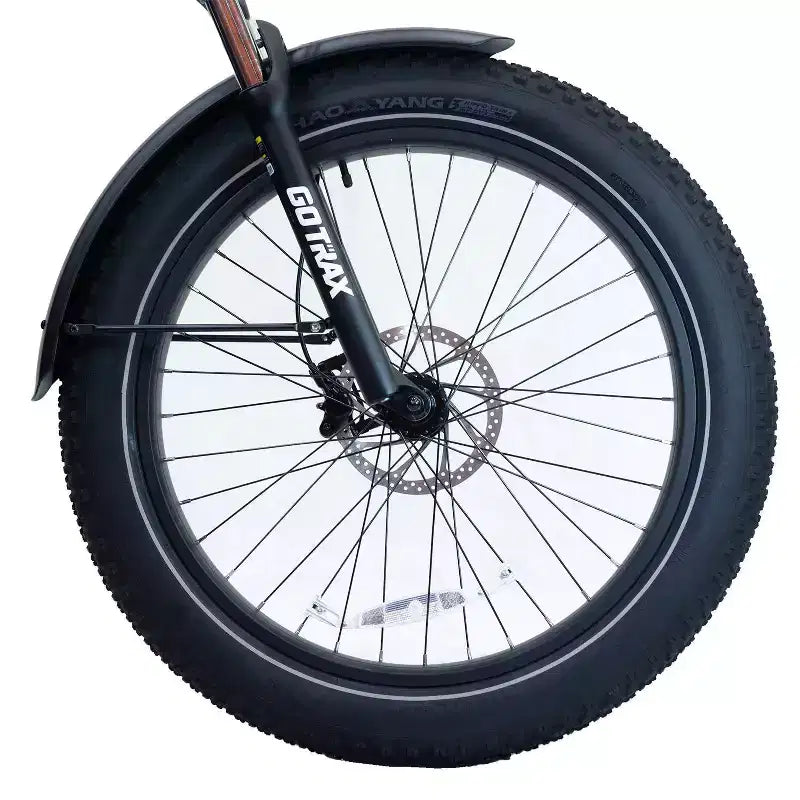GOTRAX Bici Ibrida Elettrica 26" con Pneumatici Fat, Telaio a Scavalco, per Adulti - Verde
