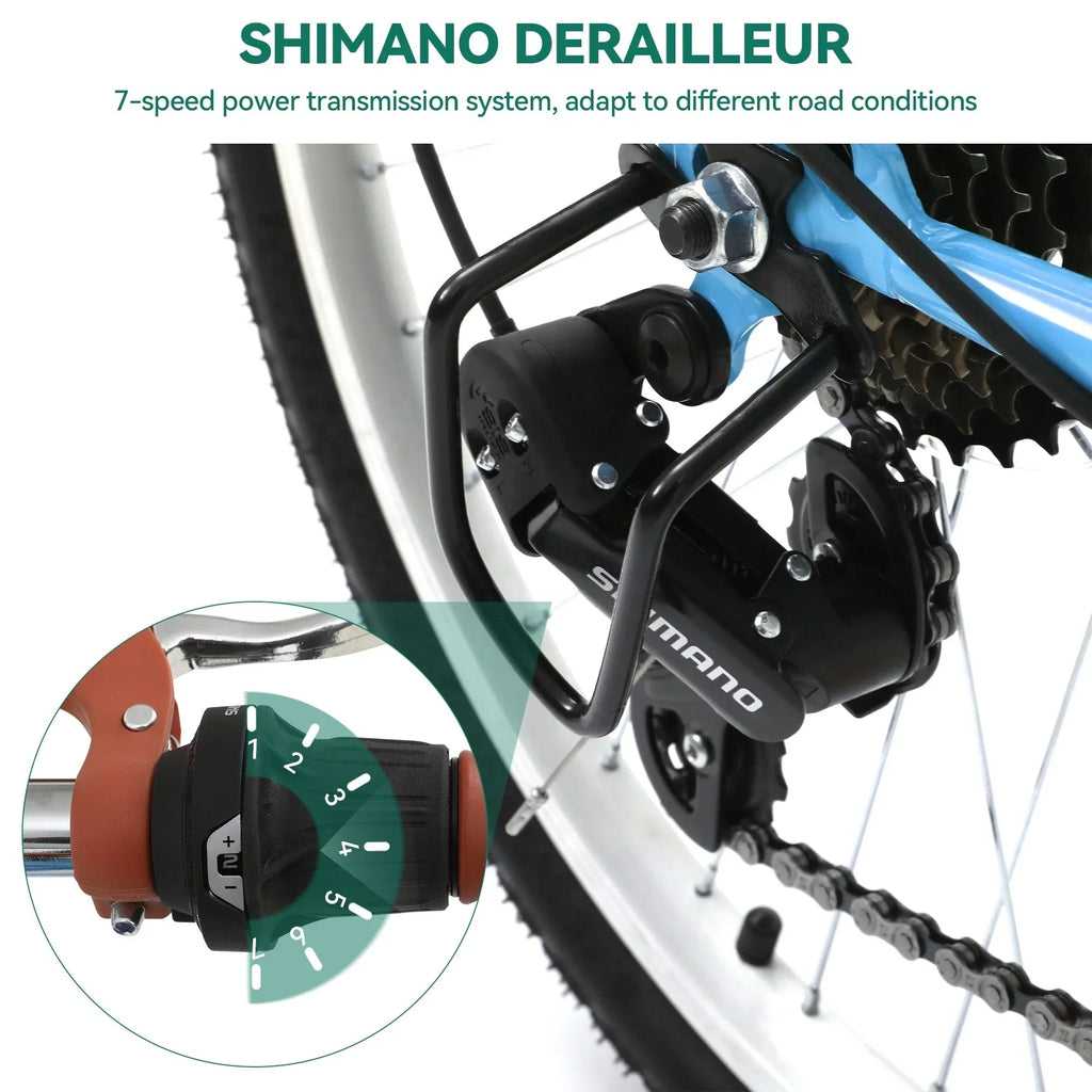 Moasis24/26 Bicicletta Cruiser a 7 velocità Regolabile con Telaio Ribassato, per Pendolari
