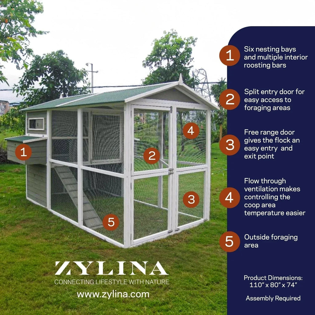 Zylina Grande Pollaio Verde